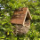 Selections Woven House Martin Bird Nester with Roof 5
