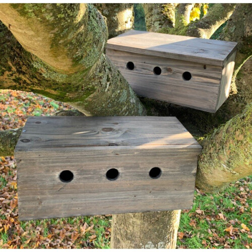 Selections Sparrow Colony Terrace Wooden Nesting Box 2
