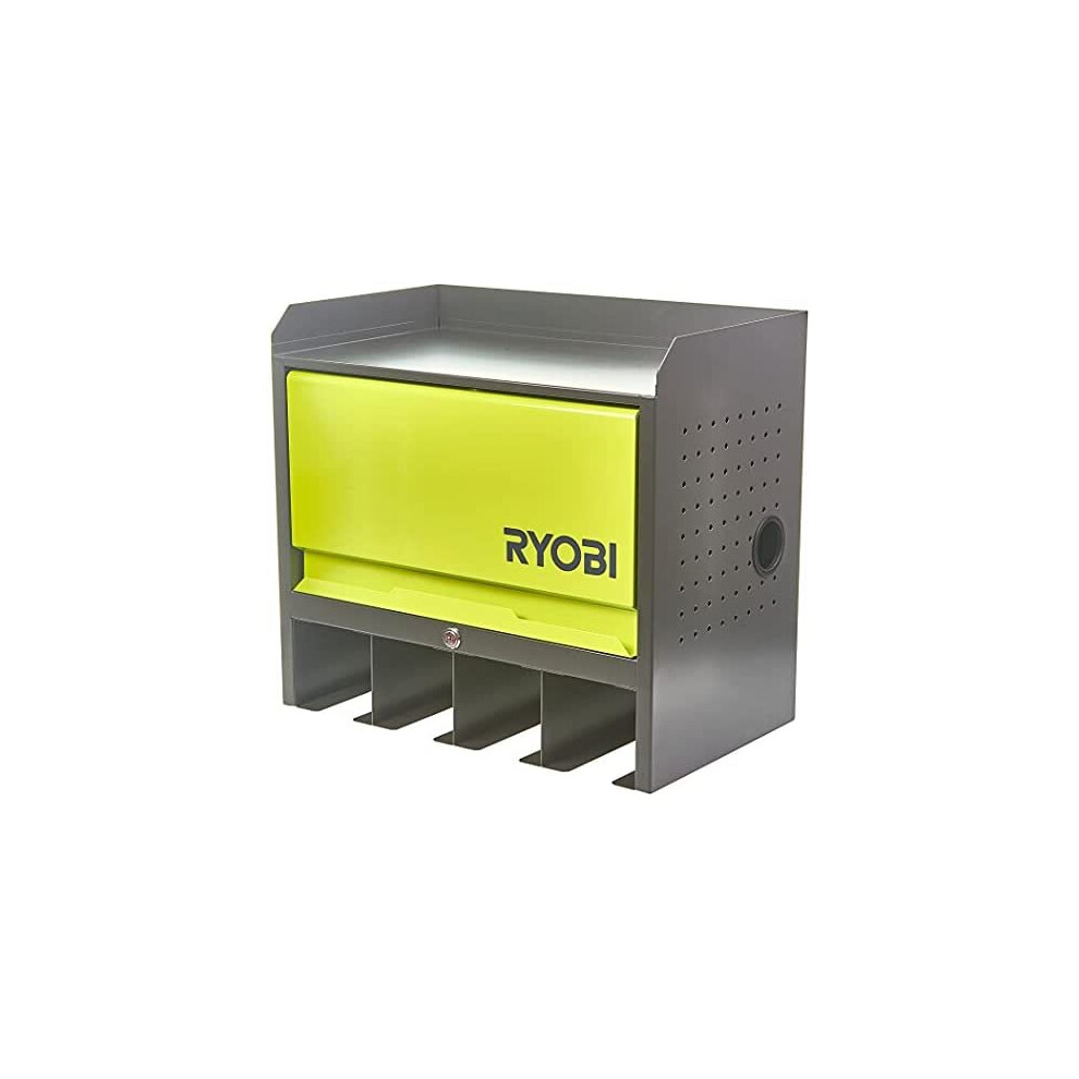 Ryobi RHWS-01 Wall Mounted Cabinet with Door