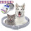 Flea and Tick Collar 8 Month Protection Adjustable for Small Medium Large Dogs 4