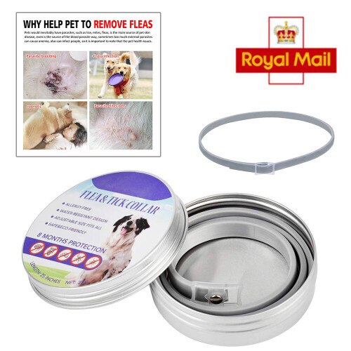 Flea and Tick Collar 8 Month Protection Adjustable for Small Medium Large Dogs 1