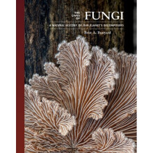 The Lives of Fungi : A Natural History of Our Planet's Decomposers - Britt Bunyard - book