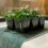 Selections Capillary Matting Plant Watering Roll (10m x 0.53m) 4