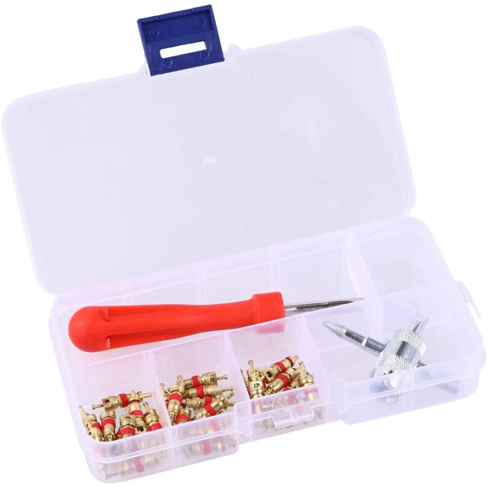 Wakauto 32Pcs Valve Core Remover Tool Kit With Valve Stem Cores Valve Core Removal Schrader 4-Way Valve Tool For Auto Car Bicycle 738660657967