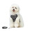 () Harness and Leash Sets Adjustable Lengths Reflective Design Breathable Mesh Dog Collar for Small Pets 12