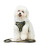 () Harness and Leash Sets Adjustable Lengths Reflective Design Breathable Mesh Dog Collar for Small Pets 8