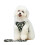 () Harness and Leash Sets Adjustable Lengths Reflective Design Breathable Mesh Dog Collar for Small Pets 13