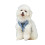 () Harness and Leash Sets Adjustable Lengths Reflective Design Breathable Mesh Dog Collar for Small Pets 9