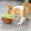 Dog sniffing training toy dog chewing activity stuffed plush toy 6