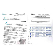 AffinityDNA PKD DNA Test for Cats - Home Sample Collection Kit for 1 Feline – Polycystic Kidney Disease Testing