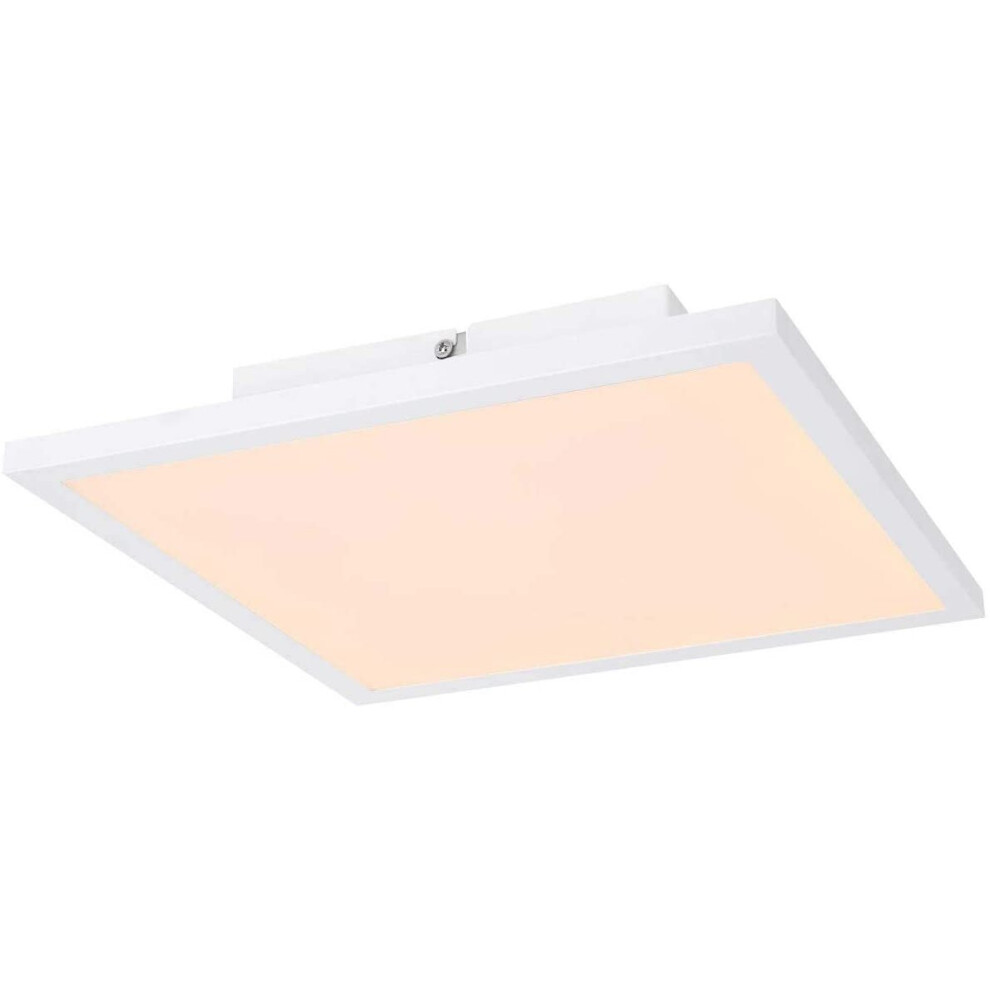 Globo Light/White Doro Ceiling