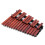 25 Notes Wooden Xylophone Percussion Educational Gift with 2 Mallets 5