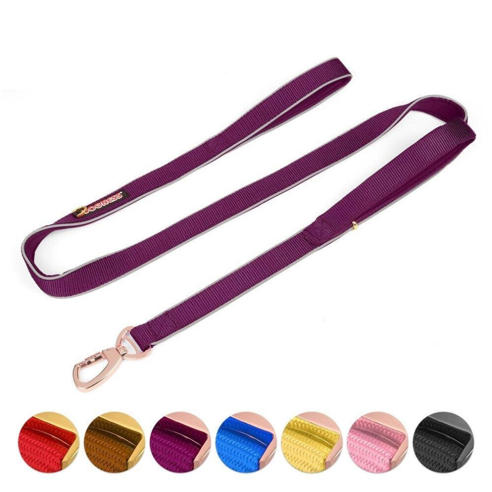 () Double Handle Dog Leash Dual Handle Heavy Duty Soft Padded Reflective Nylon Dog Traction Rope