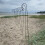 Selections 10 x Black Border Garden Shepherds Crook Hooks (1.2m) 6