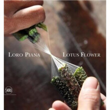 The Lotus Flower