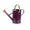Smart Garden Smart Garden Violet Watering Can 9L 2