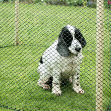 Smart Garden Multi-Mesh 15mm Green 0.5mx5m