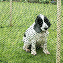 Smart Garden Multi-Mesh 15mm Green 1mx5m