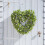 Smart Garden Smart Garden Lavender Heart 40cm 1