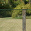 Smart Garden Smart Garden Multi-Mesh 15mm Green 0.5mx5m 2