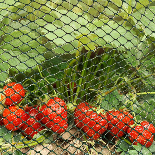 Smart Garden Smart Garden Multi-Mesh 15mm Green 0.5mx5m 2