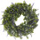 Smart Garden Smart Garden Lavender Whirl 35cm 2