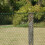 Smart Garden Smart Garden Multi-Mesh 15mm Green 1mx5m 3