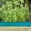 Smart Garden Smart Garden Green FlexEdge 15cm x 1.2m 2
