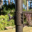 Selections Bird Bath Bracket for Metal Bird Feeding Stations (Set of 2) 5