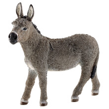 Æsel