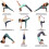 (Black) Stretch Yoga Strap 7