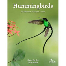 Hummingbirds - A Celebration of Nature's Jewels