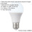 Loops 10W E27 GLS Light Bulb - Daylight White - Indoor/Outdoor LED Lamp 2