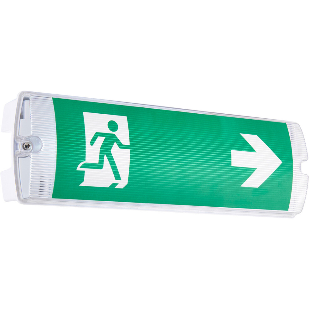 Outdoor Emergency Exit Bulkhead Light - Daylight White LED - Self Test