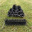Selections Set of 8 Black Drain & Gutter Downpipe Leaf Guard Plugs (30cm) 2