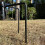 Selections Selections Bird Feeding Station Stabiliser Stand 5