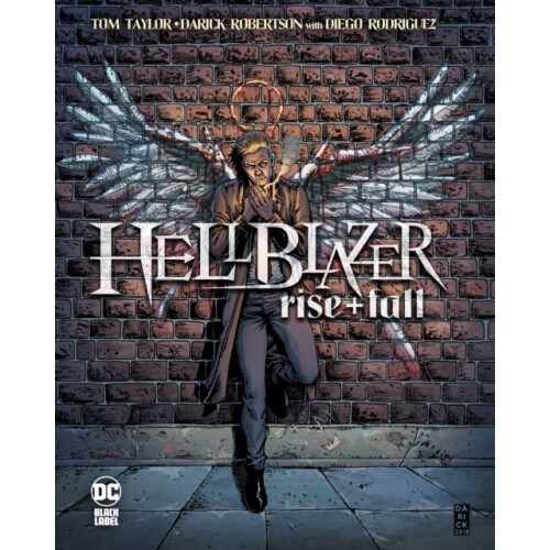DC Comics Hellblazer: Rise and Fall - Darick Robertson - book