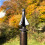 Selections Selections Metal Complete Bird Feeding Station with 4 Feeders 10