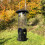 Selections Selections Metal Complete Bird Feeding Station with 4 Feeders 6