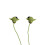 Star Wars Star Wars 15232 Yoda Oordopjes 1