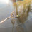 Selections Telescopic Pond Net with Long Handle for Cleaning (190cm) 8