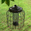 Selections Heavy Duty Squirrel Proof Hanging Bird Nut Feeder Set 3