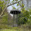 Selections Heavy Duty Squirrel Proof Hanging Bird Nut Feeder 3