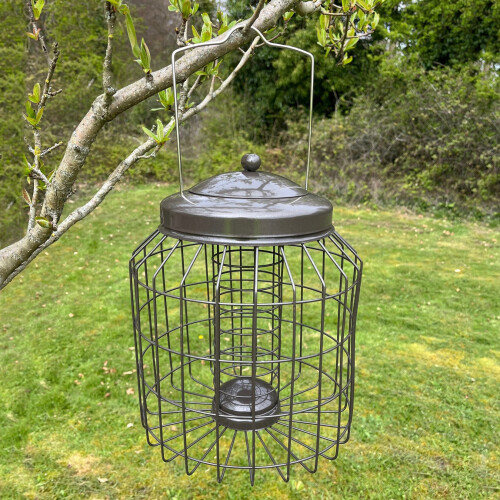 Selections Heavy Duty Squirrel Proof Hanging Bird Suet Fat Ball Feeder 2