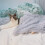 (78x54CM, Light Grey) Soft Pet Dog Blanket Cat Bed Fluffy 2