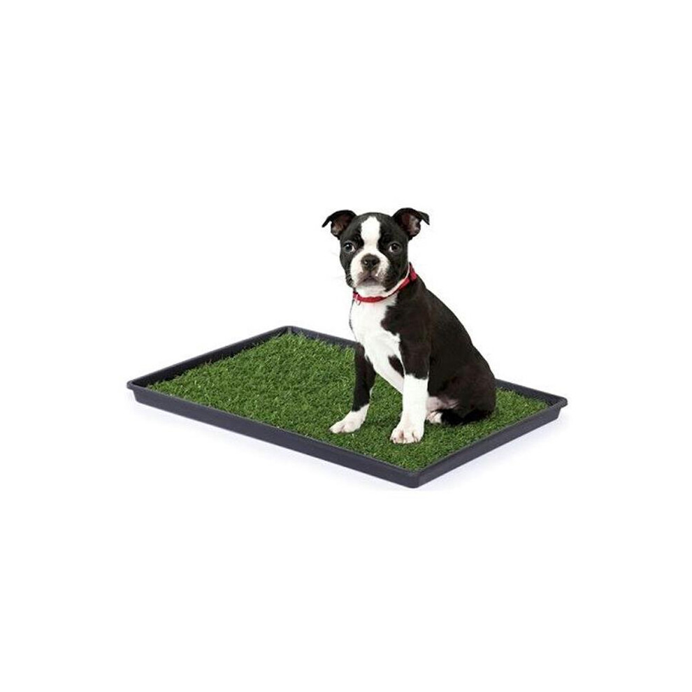 Prevue Hendryx PP-502 Tinkle Turf - Large