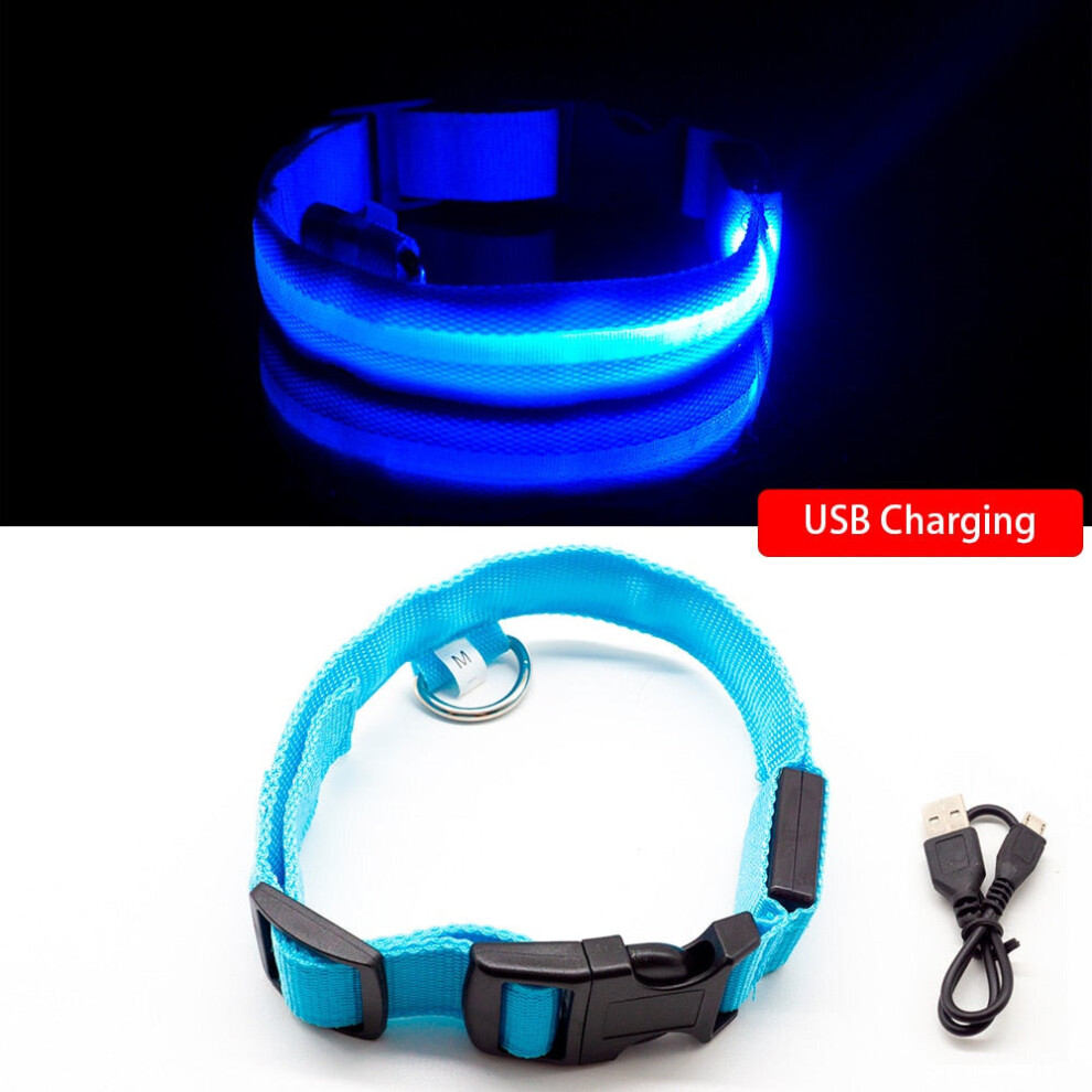 (Blue) USB Charging Dog Collar Anti-Lost/Avoid Car Accident For Puppies