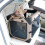 (L) Pet Travel Carrier 7