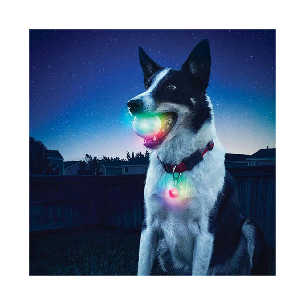 Dog Teeth Training Electronic LED 7 Color Flashing Luminous Grinding Ball