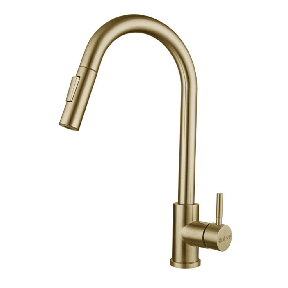 (Golden) Stainless Steel Kitchen Faucet 360 Rotation With Pull Down Sprayer Fingerprint Resistant Hot Cold Water Mixer Tap